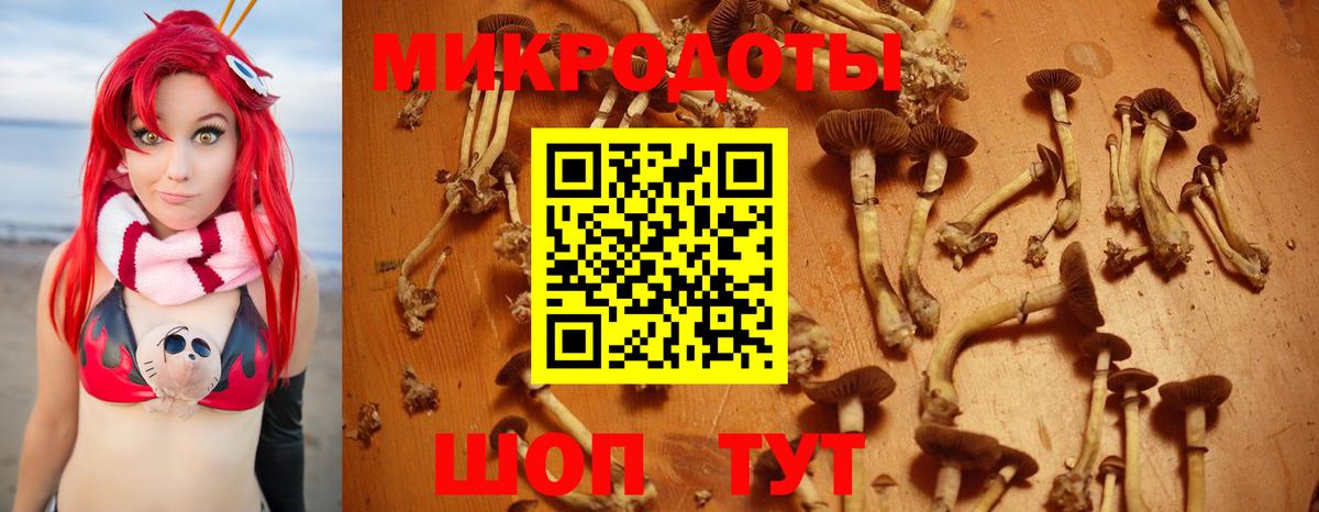 Галлюциногенные грибы MAGIC MUSHROOMS Сочи