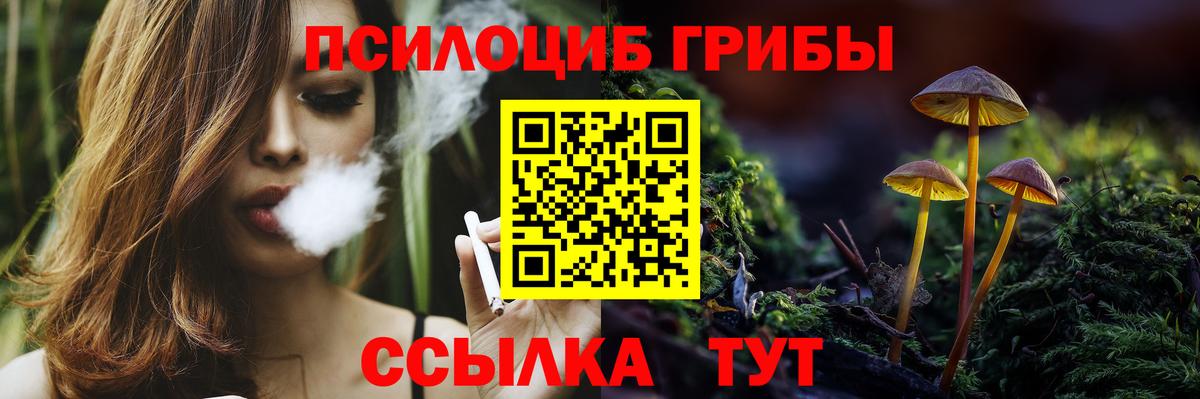 Сочи  Галлюциногенные грибы прущие грибы  Вход с VPN  Галлюциногенные грибы прущие грибы 
